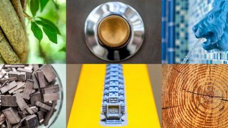 A collage of photos that includes a sculpture of a lion head as a fountain; a silver and brass button on the Old Well; branches of a tree wrapping around each other; the rings of a cut tree trunk; blue 3D printing robots in a line; and a cup of steel pieces from a letter press.